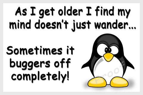 Funny Penguin Fridge Magnet Gift...as I get older