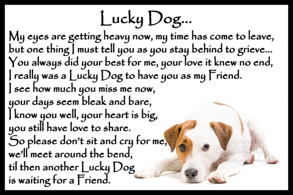 Jack Russell Terrier Pet Memorial Flexible Fridge Magnet