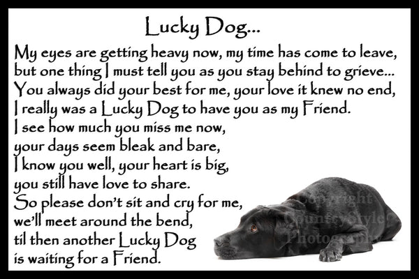 Black Labrador rainbow bridge pet dog memorial gift