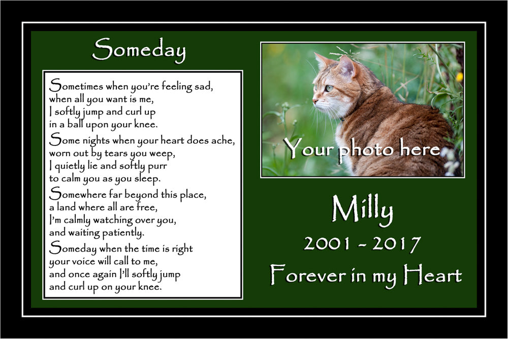 Personalised Pet Cat Memorial Print