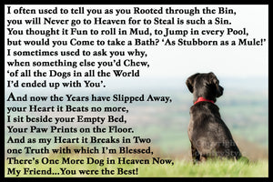 Pet Dog Memorial Flexible Magnet with a choice of exclusive verses