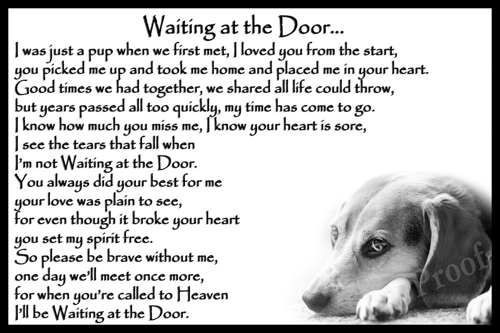 Beagle Pet Dog Memorial Rainbow Bridge Gift – CountryStyle Photography