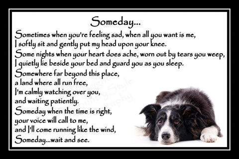 Funny Border Collie House Rules Magnet – Refrigerator Gift Idea, Dog Lover Humor