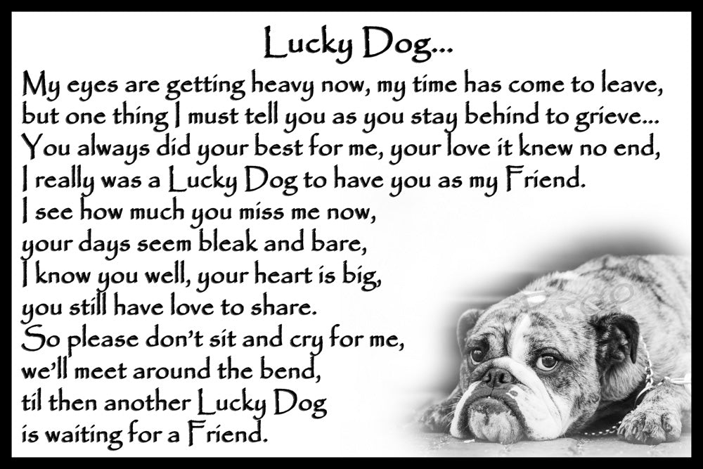 Bulldog Pet Dog Memorial Rainbow Bridge Gift – CountryStyle