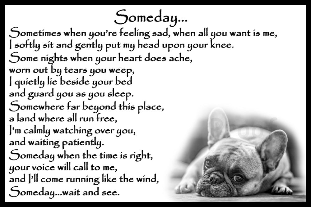 French Bulldog Pet Dog Memorial Flexible Fridge Magnet - Main Image